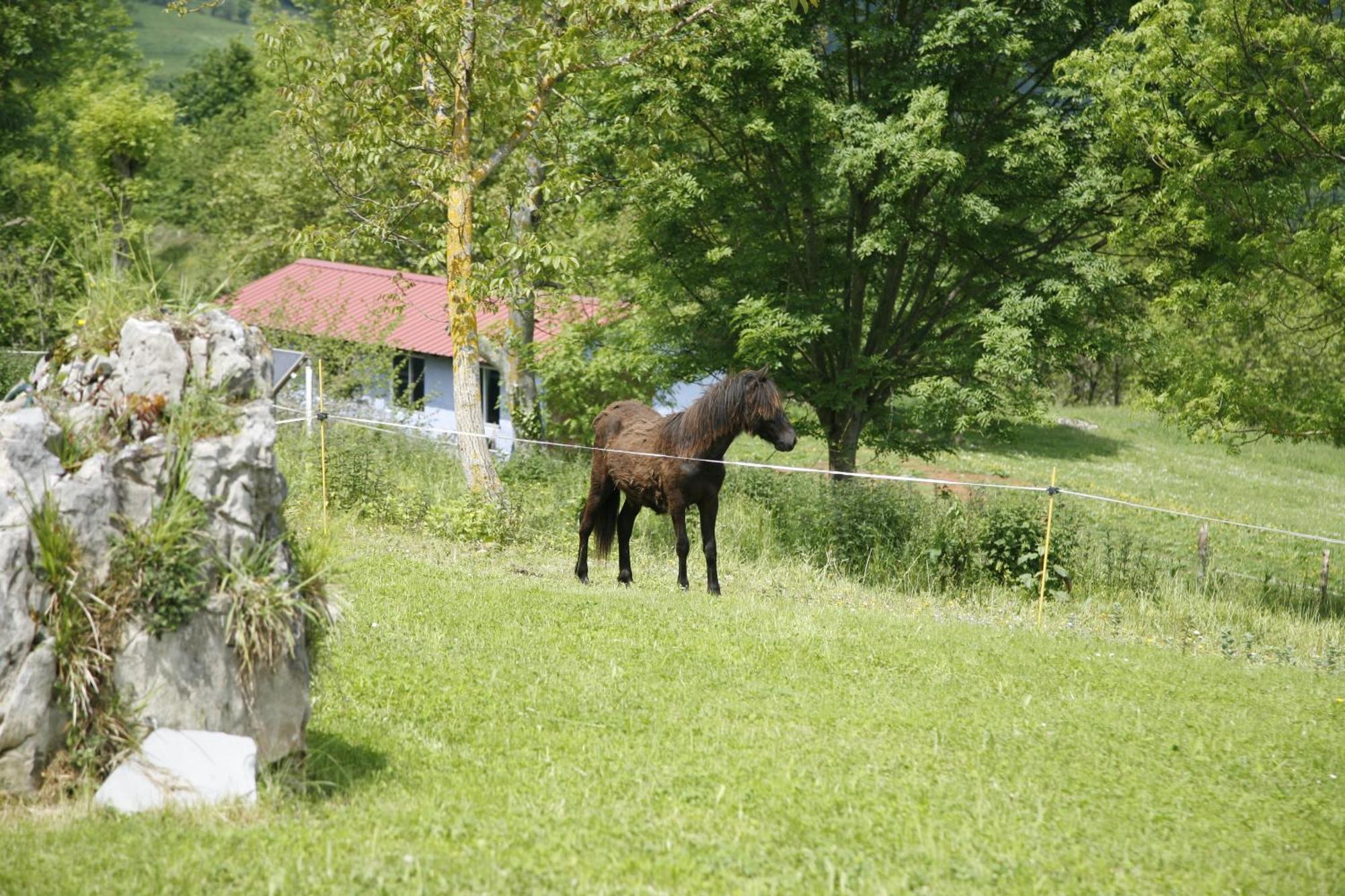El Conventu del Asturcon Lago (Asturias) Exterior foto